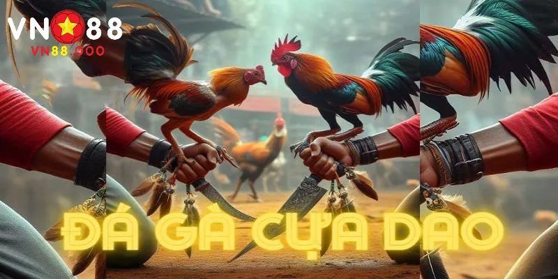 Chơi đá gà cựa sắt đỉnh cao