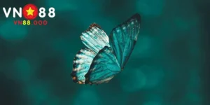 mơ thấy bướm giải mã