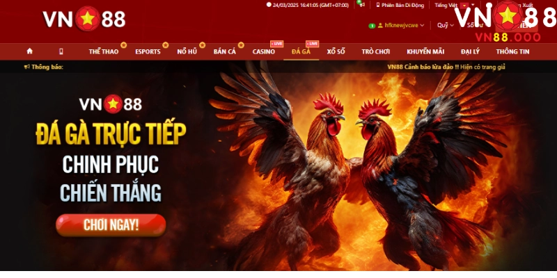 Từ nhân viên văn phòng đến cao thủ cá cược – Khi tôi nhận ra tiền có thể kiếm dễ hơn 2 Những kinh nghiệm thực tiễn của bản thân tôi khi tham gia cá cược